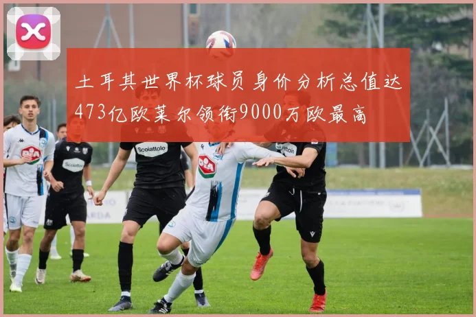 土耳其世界杯球员身价分析总值达473亿欧莱尔领衔9000万欧最高